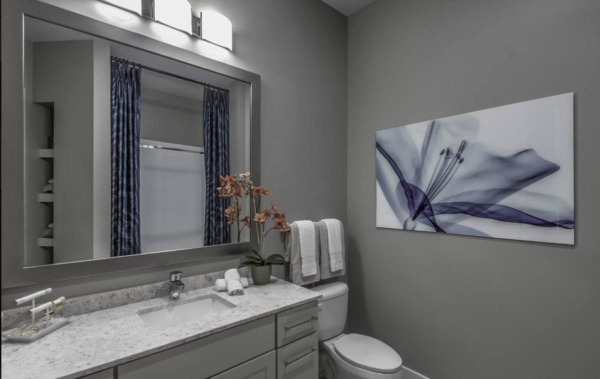 Apartment for rent at 7420 N Rea Park Lane, Charlotte, NC 28277