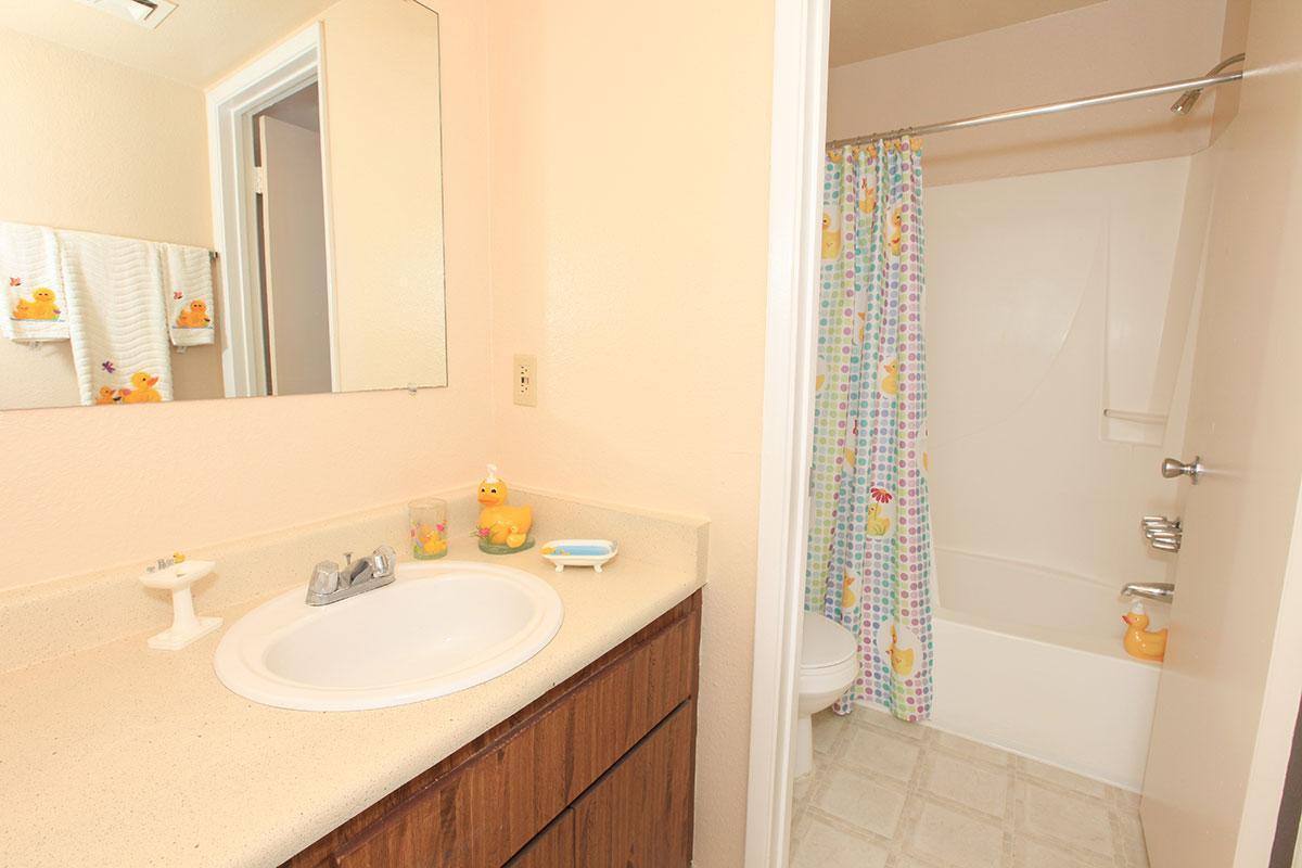 Apartment for rent at 250 N Arcadia Ave, Tucson, AZ 85711