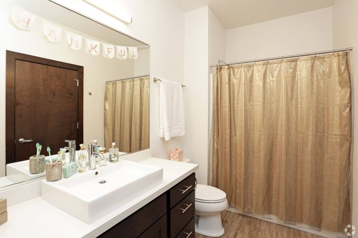 Apartment for rent at 250 State St #311, Cedar Falls, IA 50613