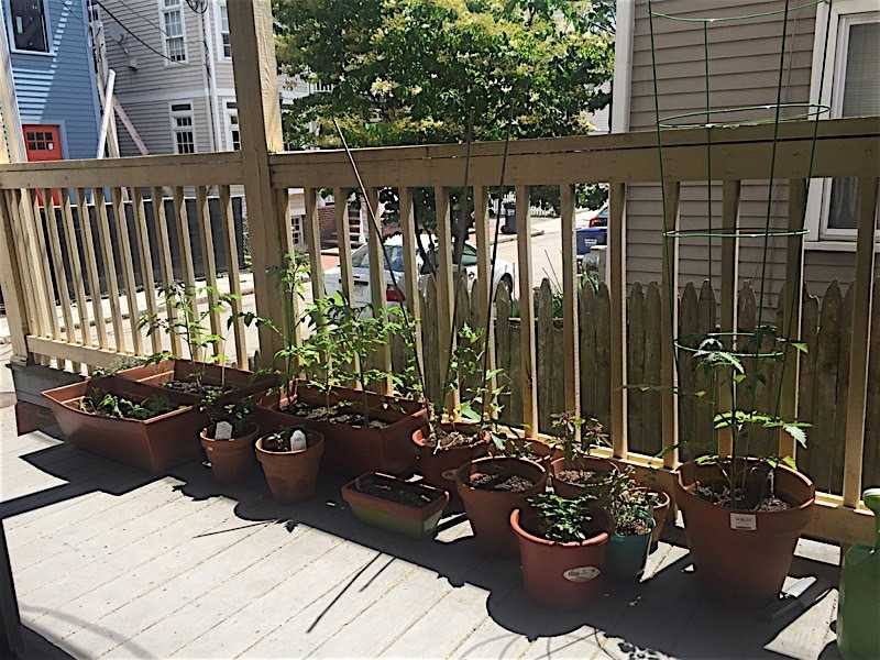 Apartment for rent at 226 Prospect St, Cambridge, MA 02139