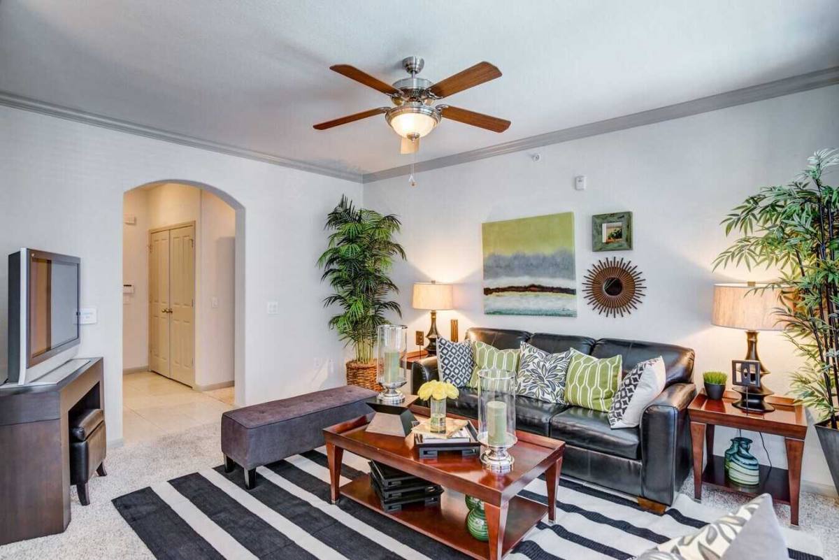 Apartment for rent at 8309 Fannin St #AICE, Houston, TX 77054