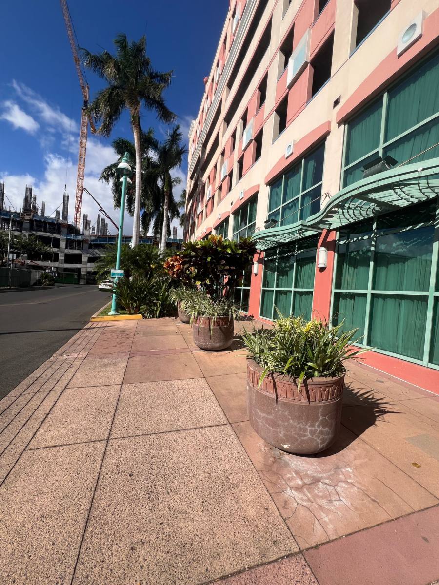 Condo for rent at 801 S King St #1 Archer Lane, Honolulu, HI 96813