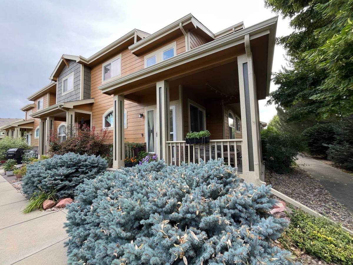 House for rent at 260 Carina Circle, Loveland, CO 80537