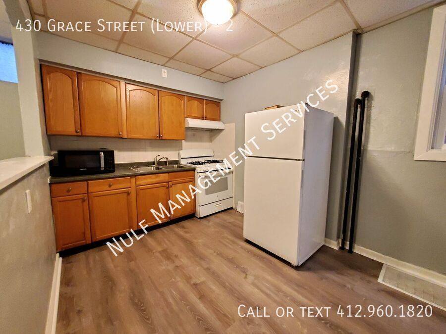 Townhouse for rent at 430 Grace St #2, Pittsburgh, PA 15211