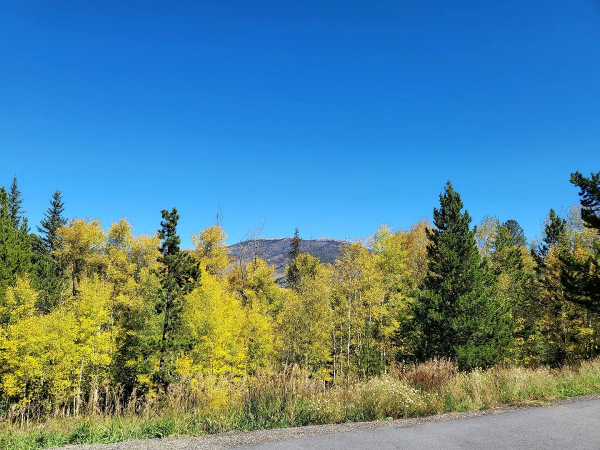 Townhouse for rent at 3712 Silverheels Dr, Silverthorne, CO 80498