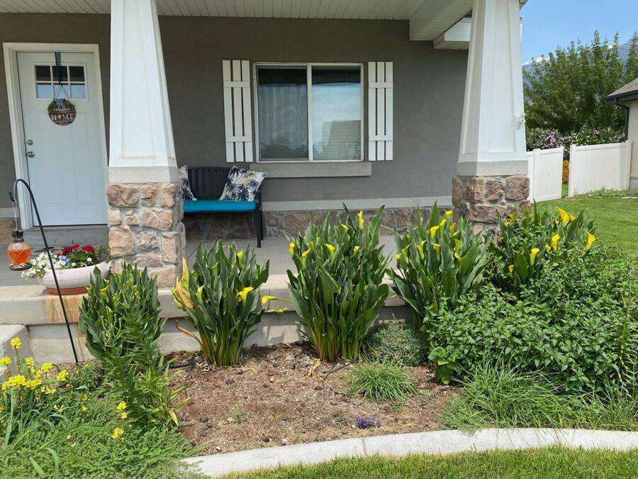 House for rent at 930 W 1490 N, Orem, UT 84057