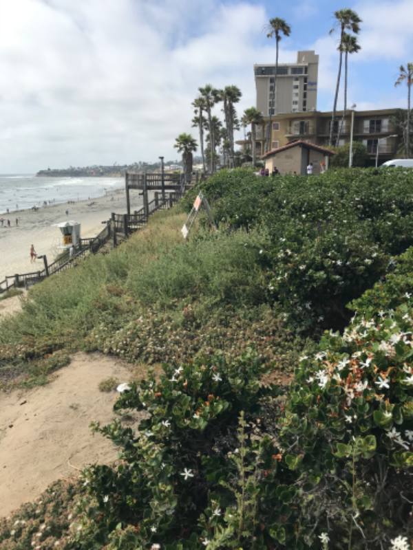 Apartment for rent at 4667 Ocean Blvd, San Diego, CA 92109