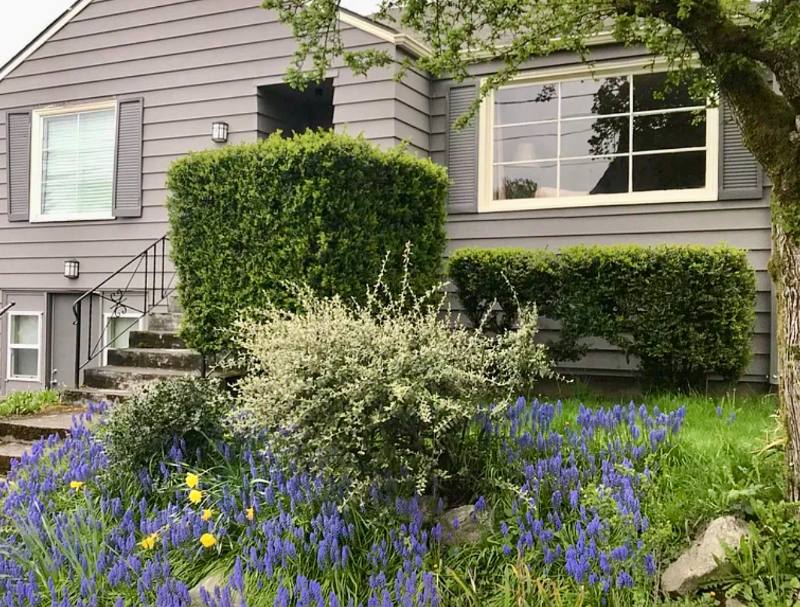 House for rent at 6306 4th Ave NE, Seattle, WA 98115