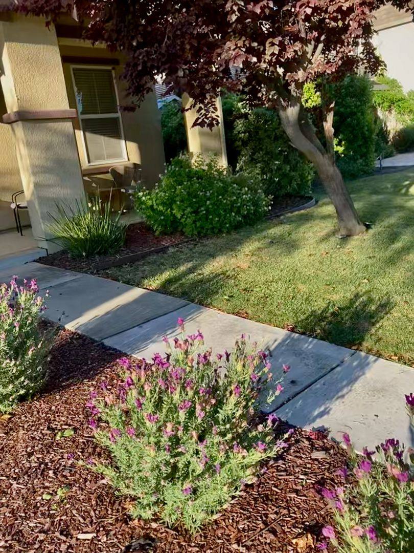 House for rent at 2358 Delgado, Woodland, CA 95776