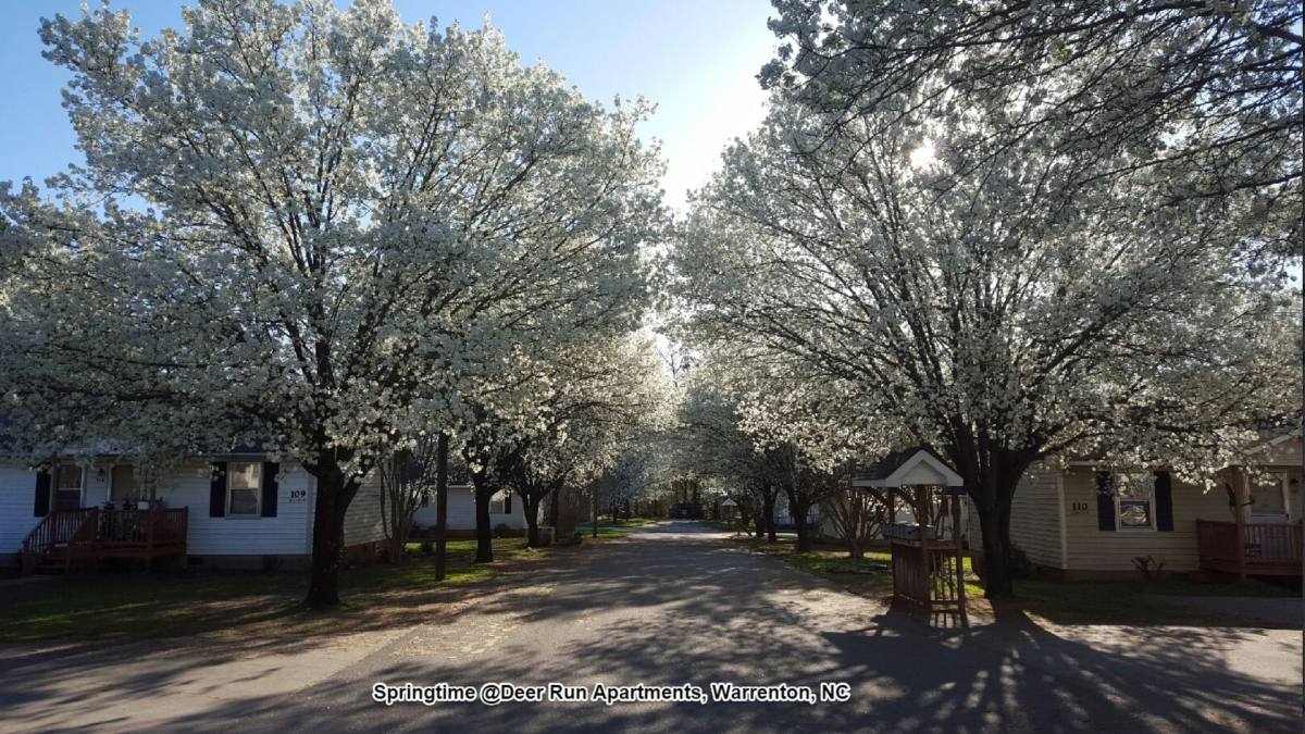 Apartment for rent at 103-121 Deer Run Dr, Warrenton, NC 27589