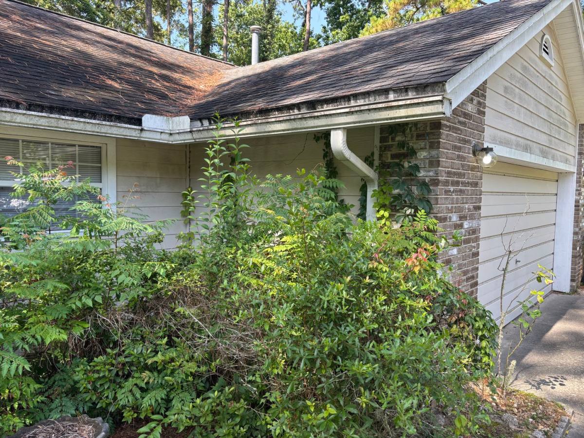 House for rent at 3647 NW 7th Place, Gainesville, FL 32607