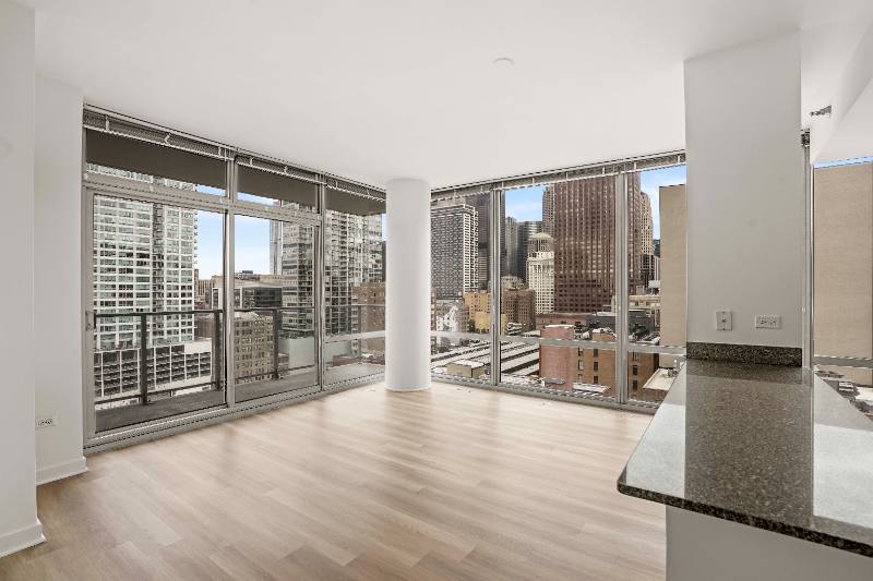 Apartment for rent at 567 S Dearborn, Chicago, IL 60605