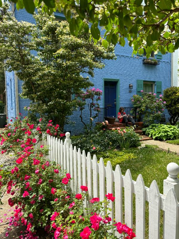 Apartment for rent at 4514 Albemarle St NW, Washington, DC 20016
