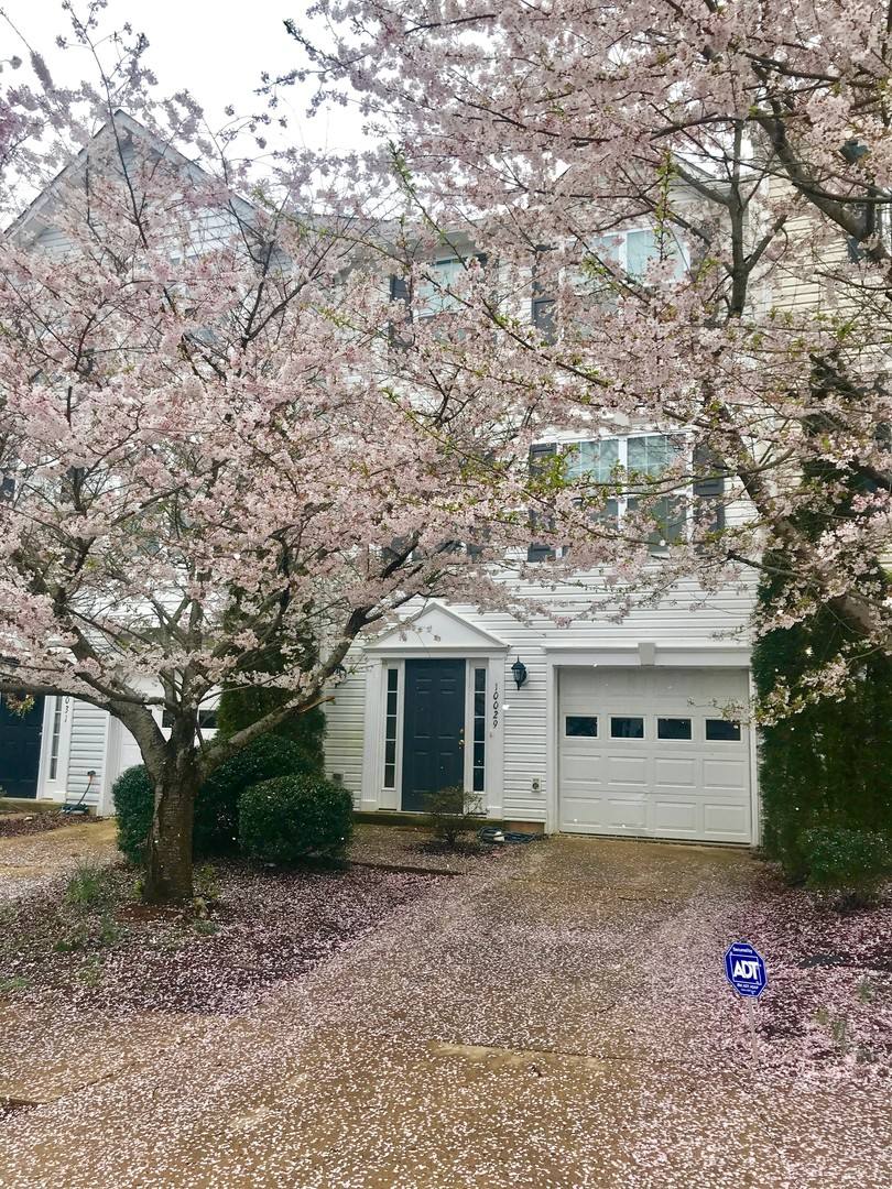 Townhouse for rent at 10029 Gander Court, Fredericksburg, VA 22407