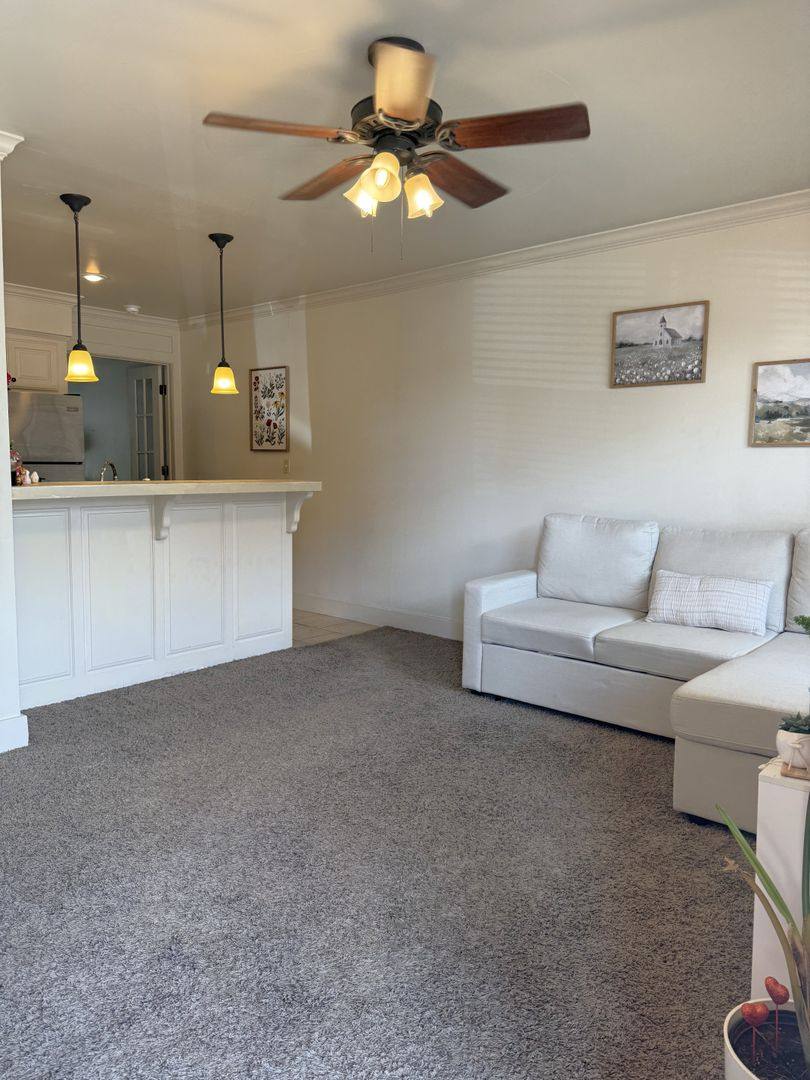 Apartment for rent at 711 W Douglas St, Fayetteville, AR 72701