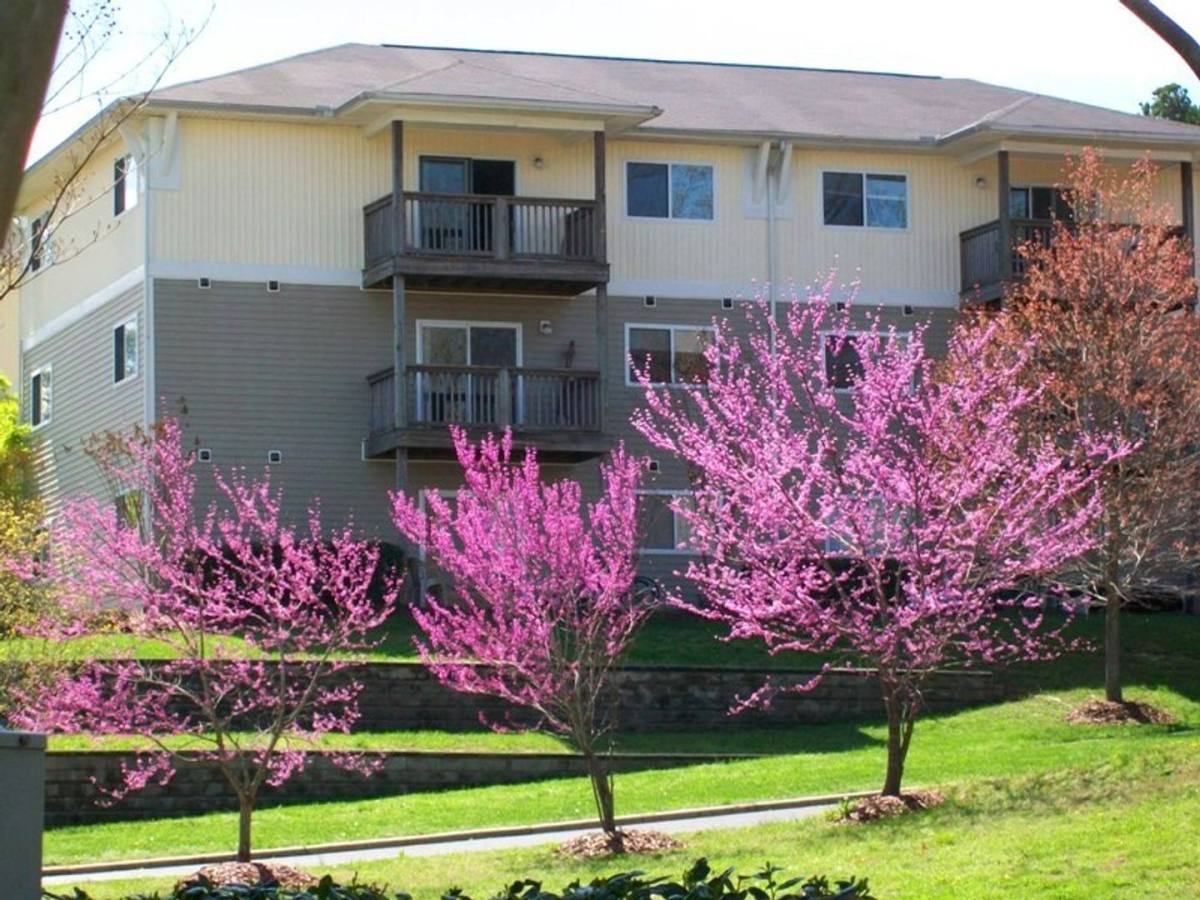 Apartment for rent at 303 Smith Level Rd, Chapel Hill, NC 27516