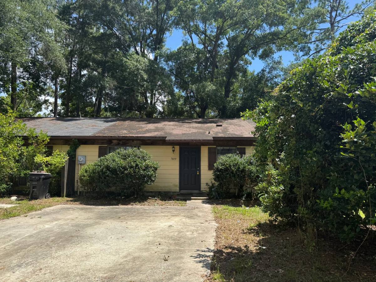 House for rent at 7019 SW 17th Place, Gainesville, FL 32607