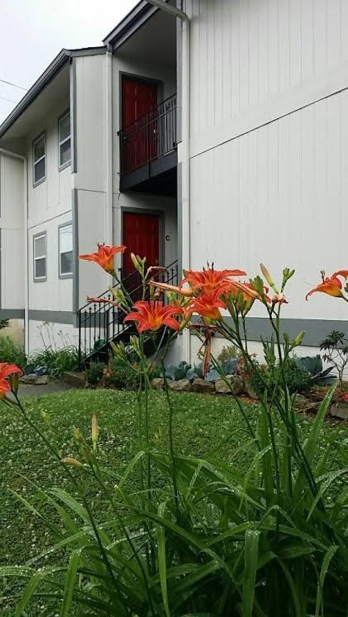 Apartment for rent at 16th Ave S, Birmingham, AL 35205