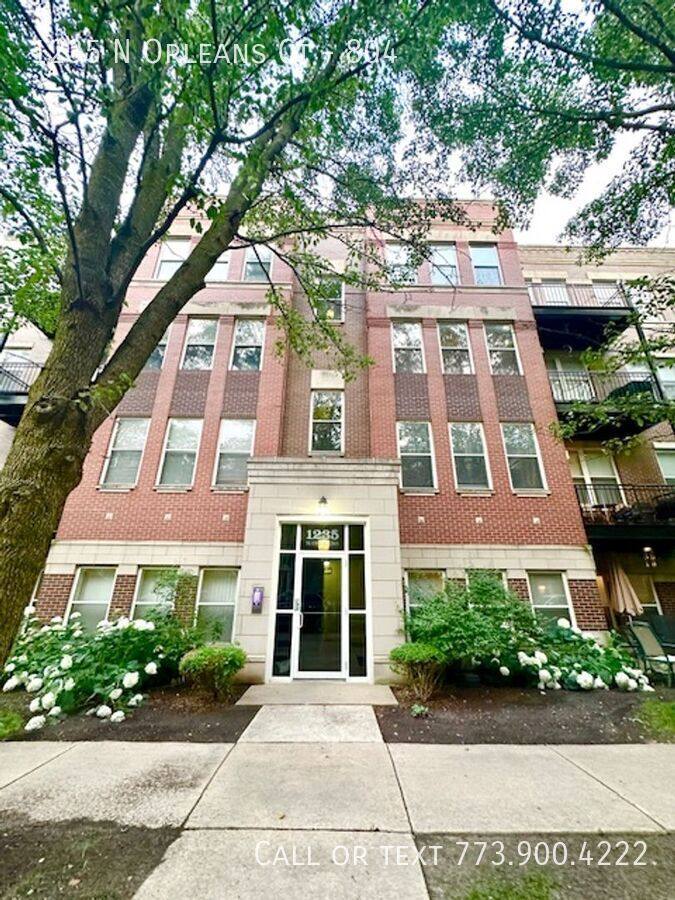 Condo for rent at 1235 N Orleans Court #804, Chicago, IL 60610