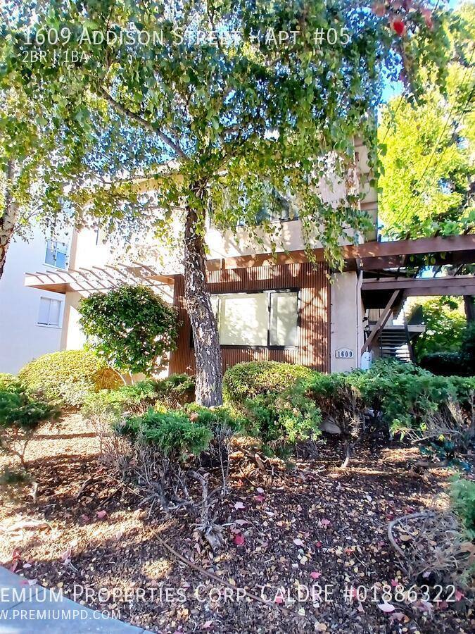 Apartment for rent at 1609 Addison St, Berkeley, CA 94703