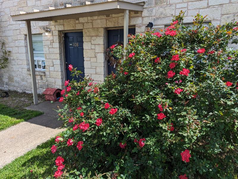 Townhouse for rent at 114 Scofield Ave #108, Johnson City, TX 78636