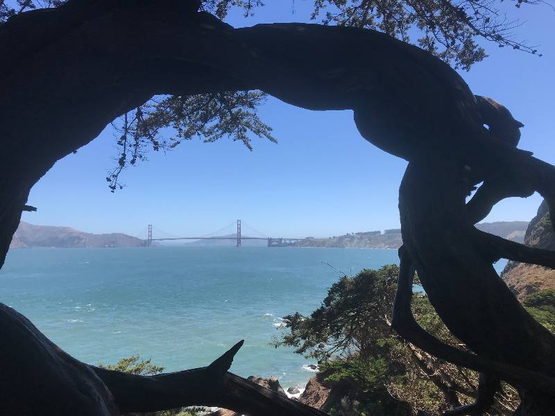 Apartment for rent at 211 Miramar Ave 1 S, San Francisco, CA 94112
