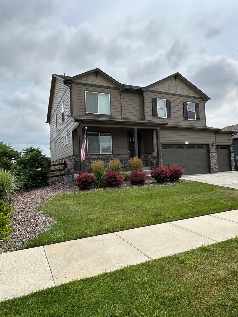 House for rent at 1717 Floret Dr, Windsor, CO 80550