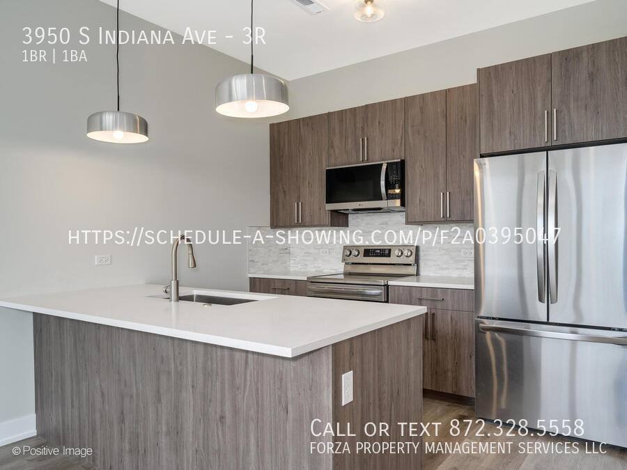 Condo for rent at 3950 S Indiana Ave #3R, Chicago, IL 60653