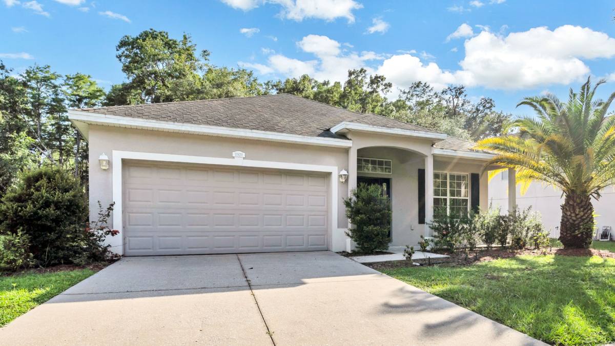 House for rent at 11920 Palm Bay Court, New Port Richey, FL 34654