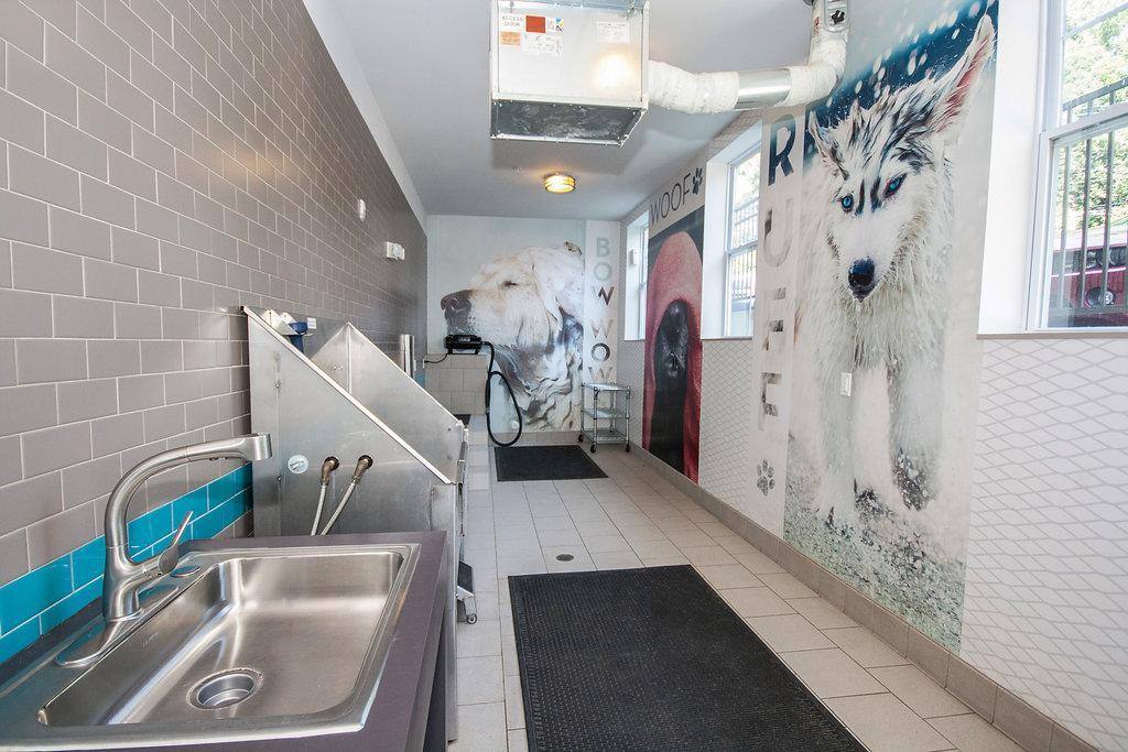 Apartment for rent at 1010 Kenilworth Ave, Charlotte, NC 28204