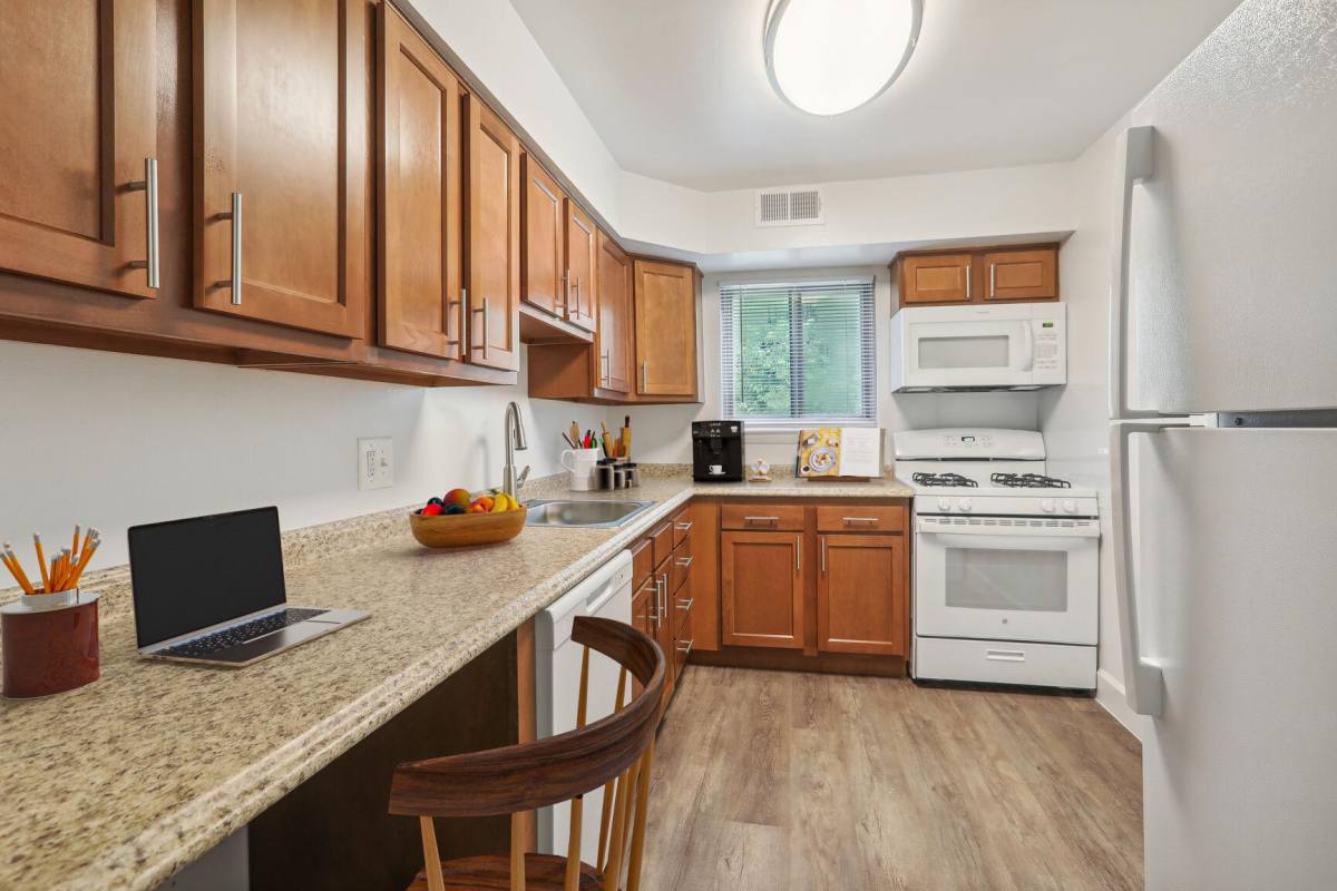 Apartment for rent at Hamilton Springs, 4808 Hamilton Ave, Baltimore, MD 21206