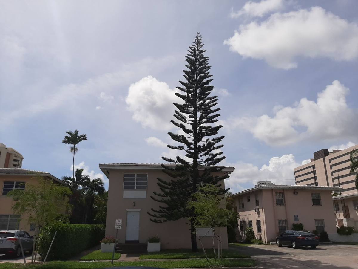 Apartment for rent at 110 Antiquera Ave, Miami, FL 33134