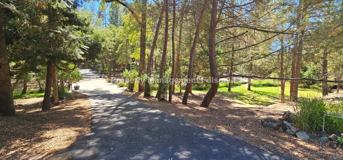 House for rent at 6399 Stanley Dr, Auburn, CA 95602