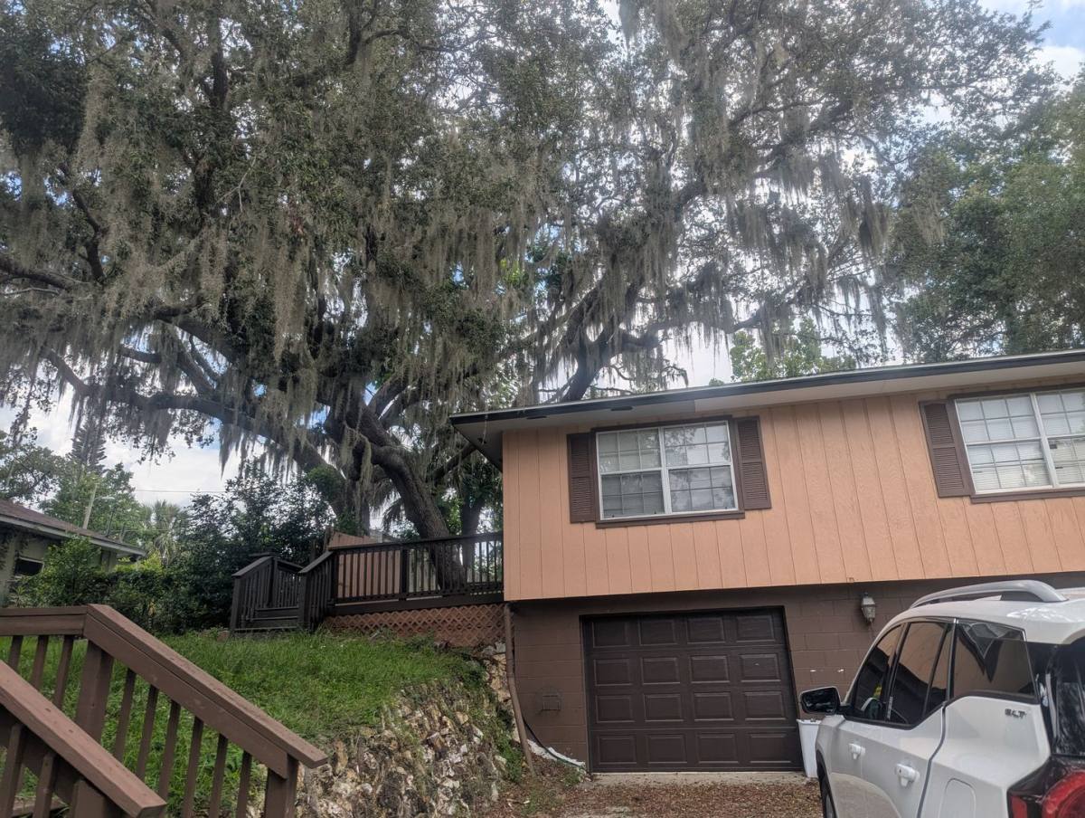 House for rent at 1423 Tedford St, Eustis, FL 32726