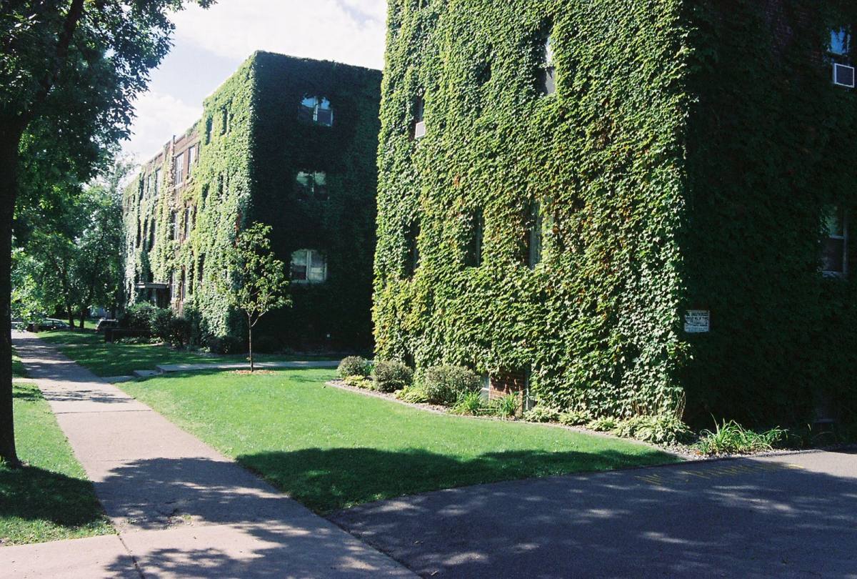 Apartment for rent at 308 W 22nd St, Minneapolis, MN 55404