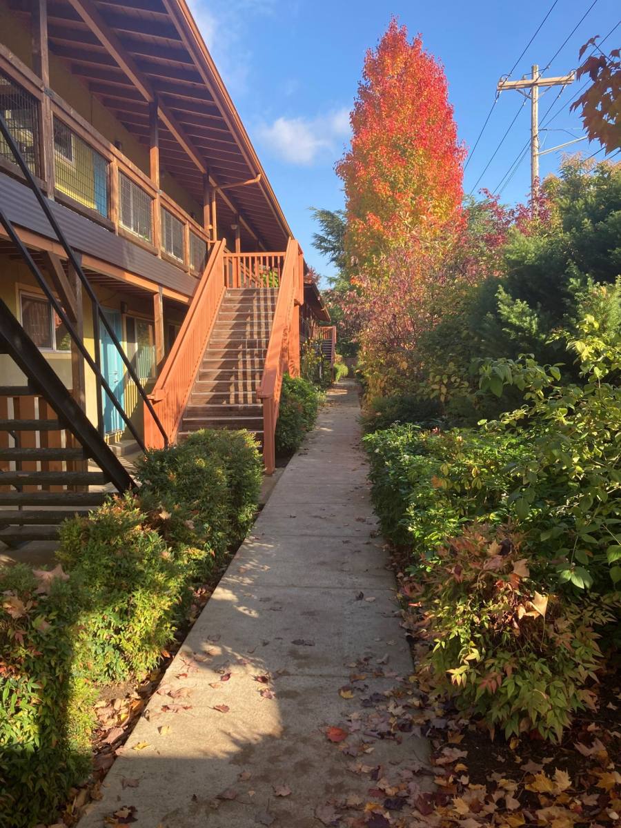 Apartment for rent at 1315 W 18th St, Eugene, OR 97402