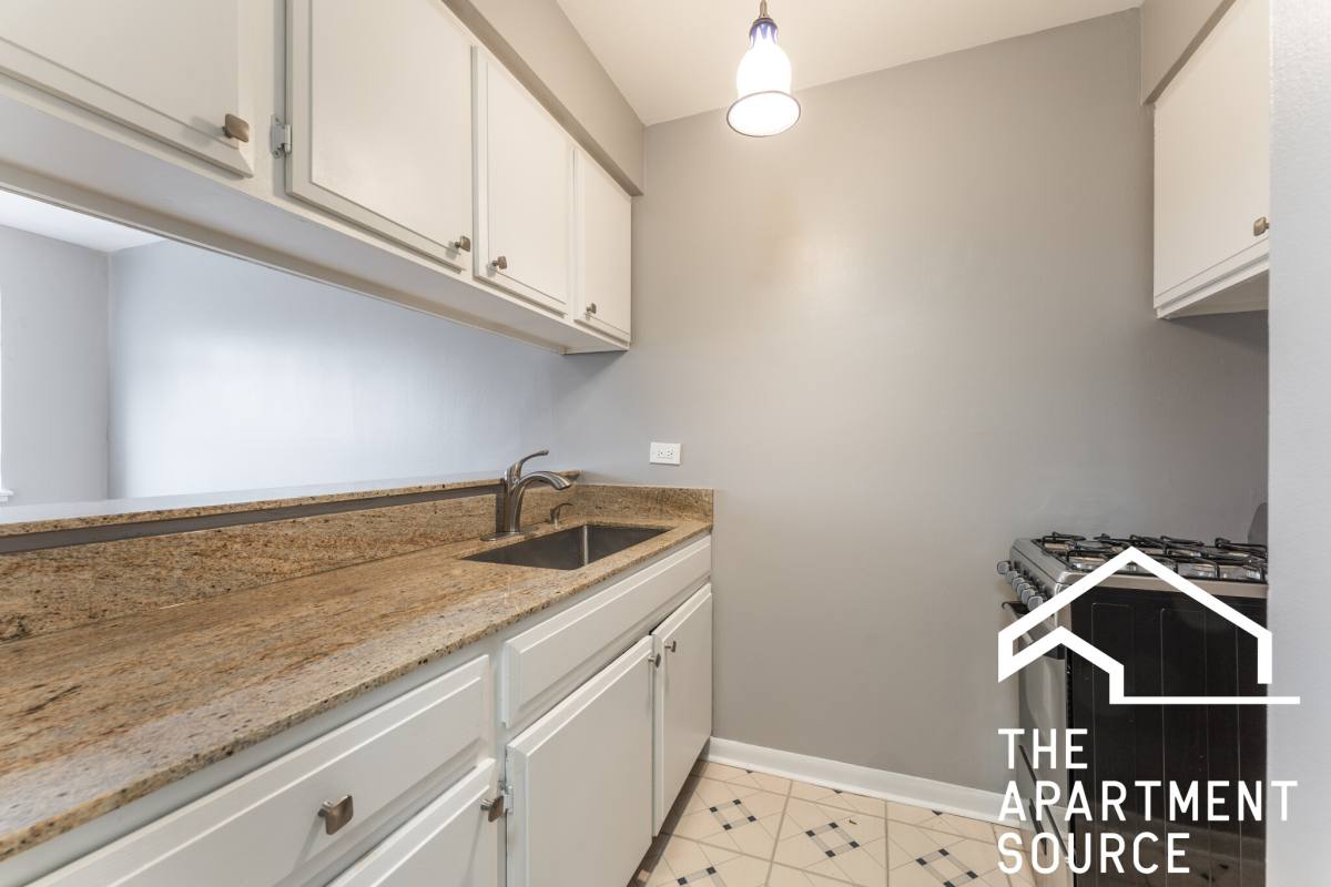 Apartment for rent at 663 W Grace St #204, Chicago, IL 60613