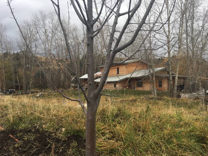 Apartment for rent at 1305 S Church Ave #SOUTHEAST Main Floor, Bozeman, MT 59715