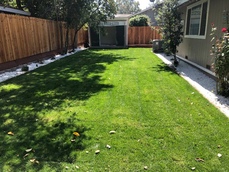 House for rent at 906 Sycamore, Davis, CA 95616