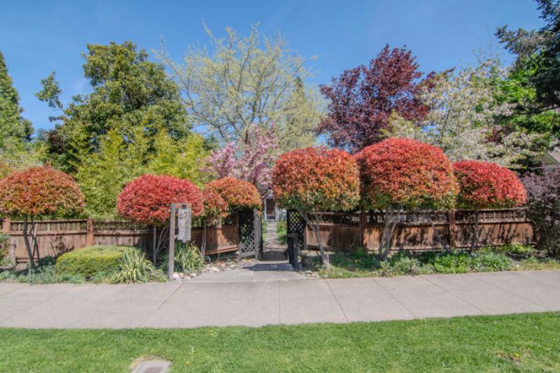 House for rent at 671 Siskiyou Blvd, Ashland, OR 97520