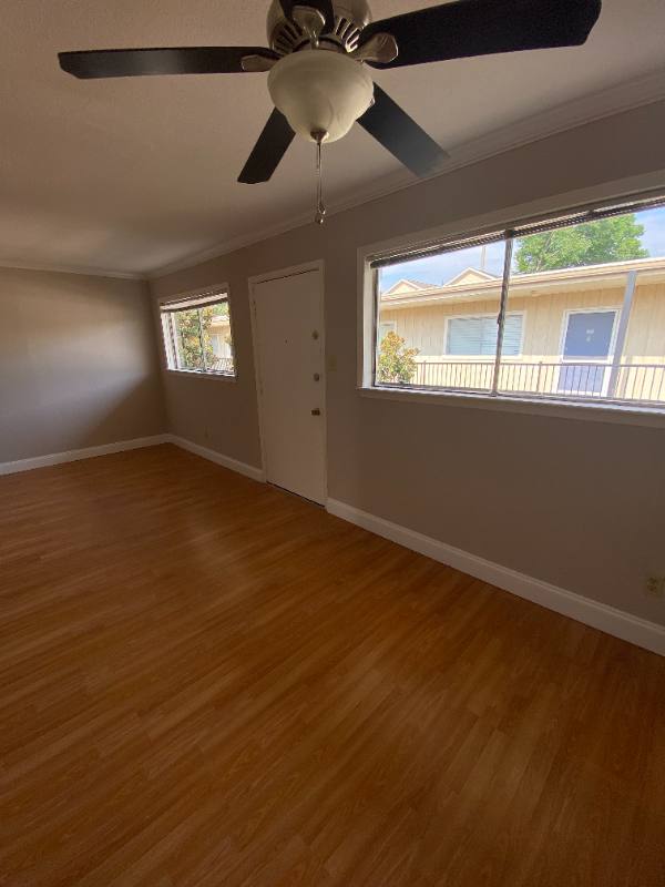 Apartment for rent at 1717 Park, Houston, TX 77019