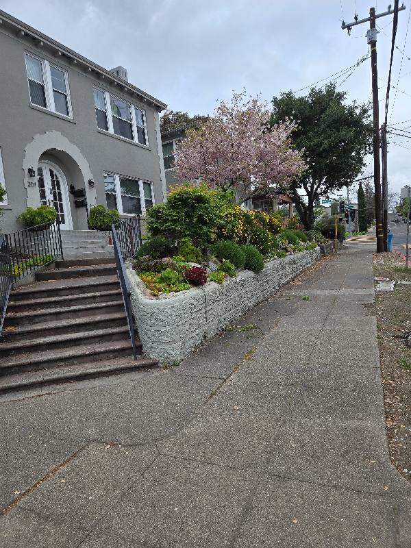 Apartment for rent at 201 Howard St #2, Petaluma, CA 94952