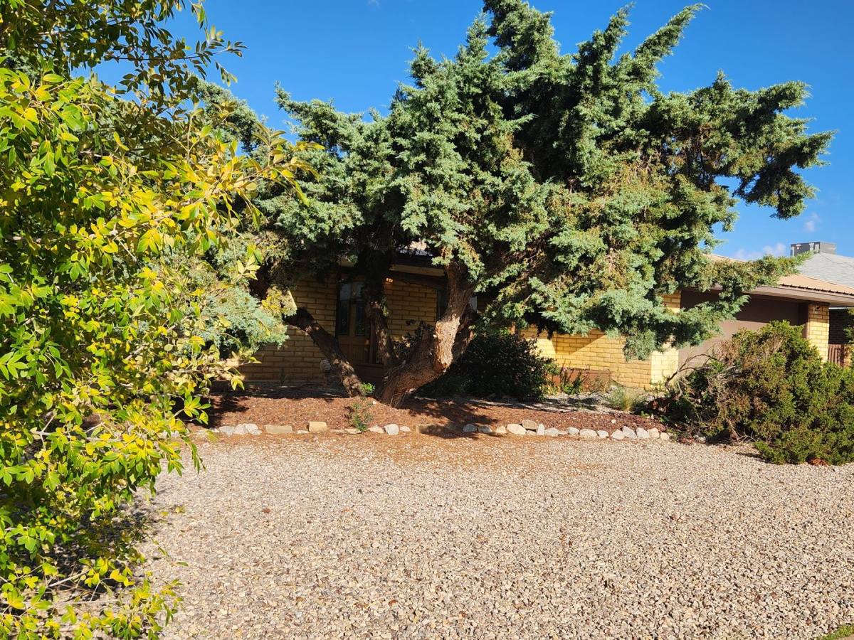 House for rent at 2804 Carmel Dr, Alamogordo, NM 88310