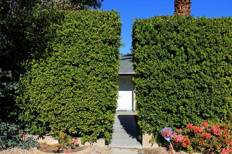 Apartment for rent at 810 E Sunny Dunes Rd, Palm Springs, CA 92264