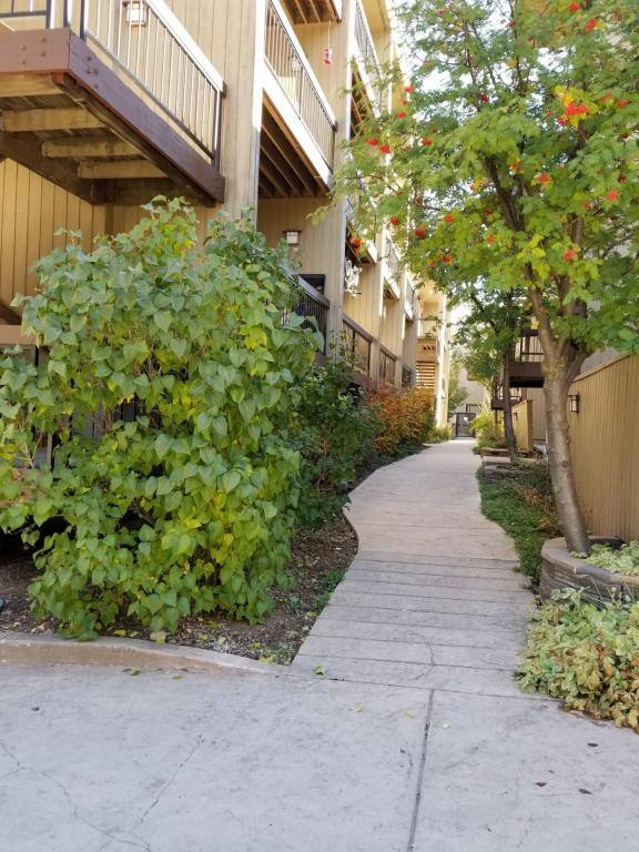Apartment for rent at 39377 Highway 6 24 #D 101, Avon, CO 81620