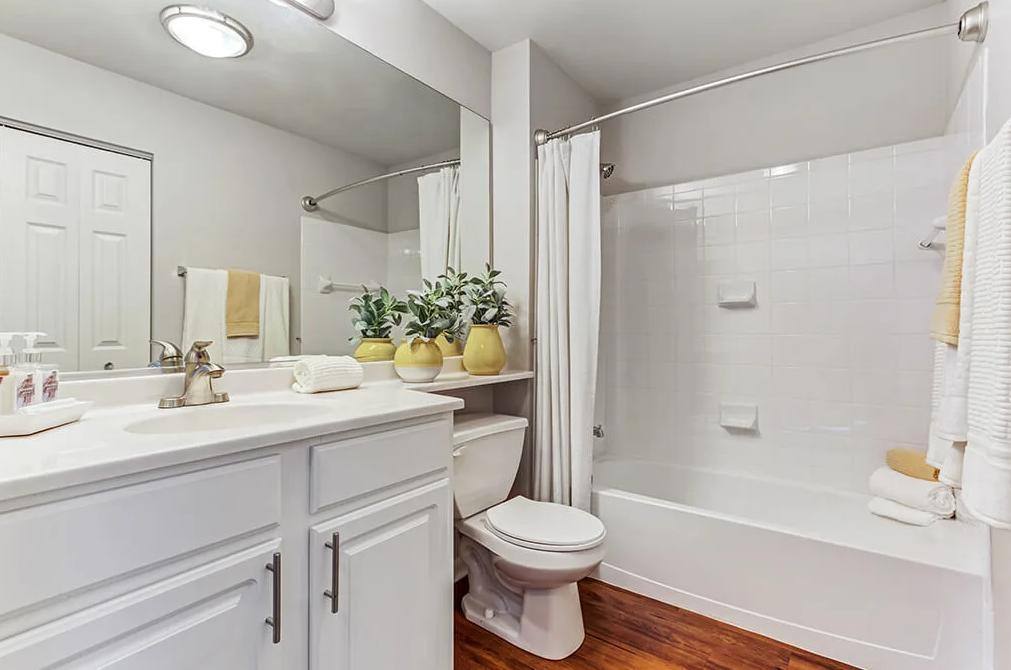 Apartment for rent at The at Kirkland Crossing, 3055 Riverbranch Dr, Aurora, IL 60502