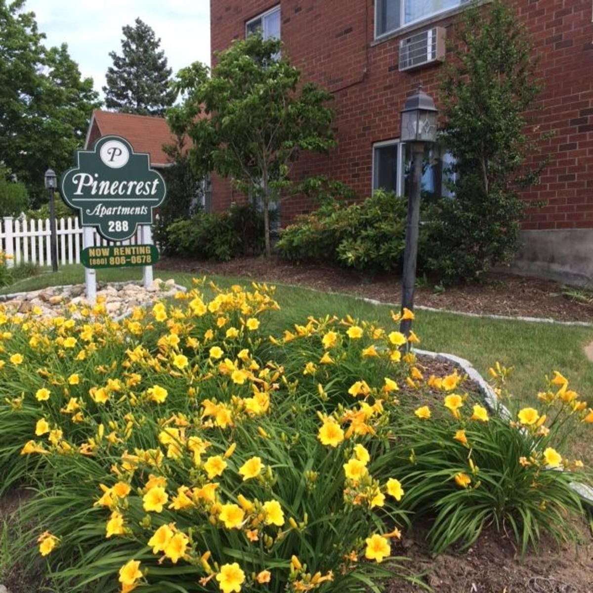 Apartment for rent at 288 Pine St, Bristol, CT 06010