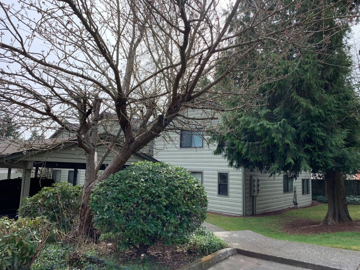 Apartment for rent at 9901 NE 134th Court, Kirkland, WA 98034