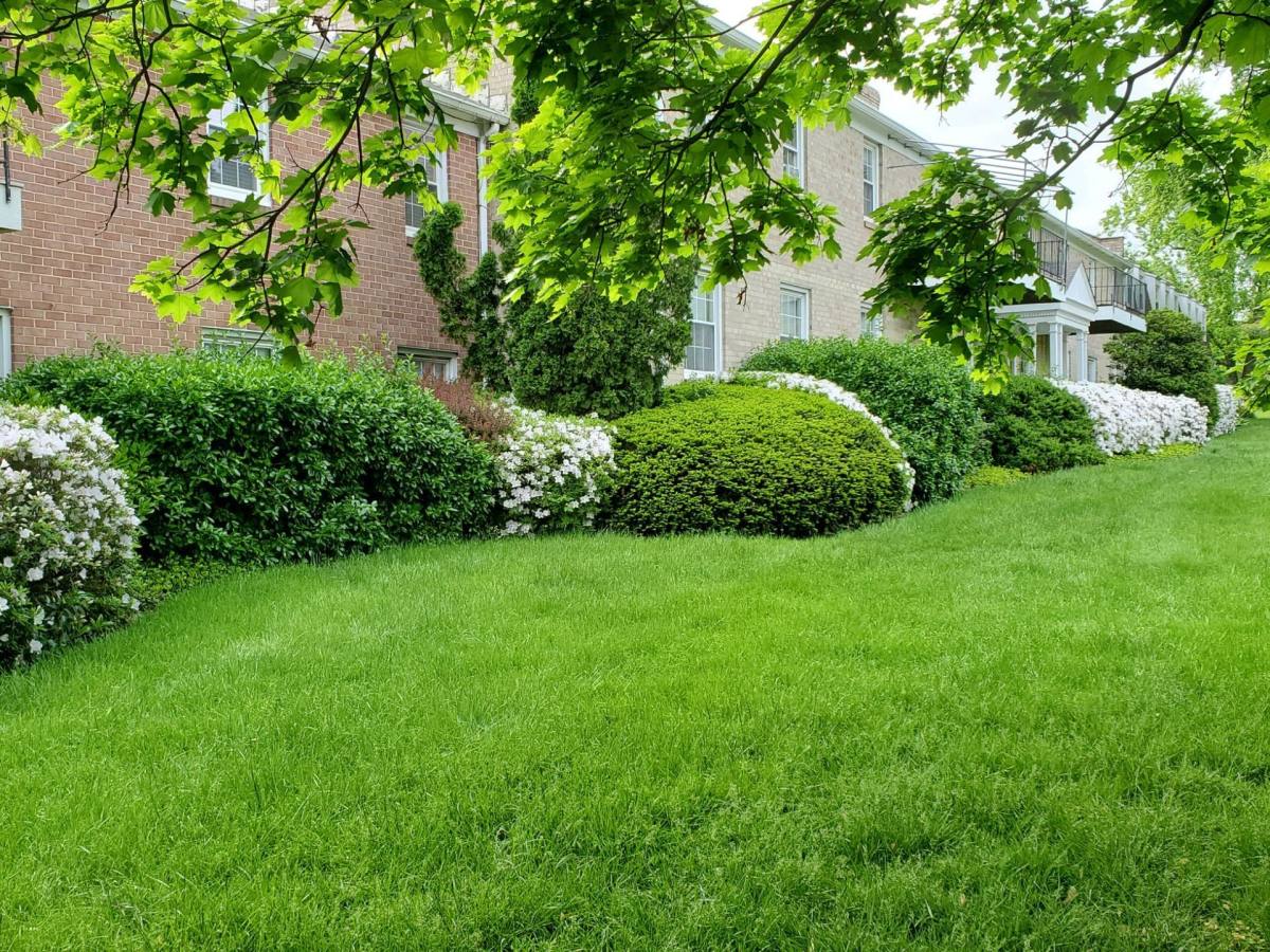 Townhouse for rent at 100 E Melrose Ave, Baltimore, MD 21212