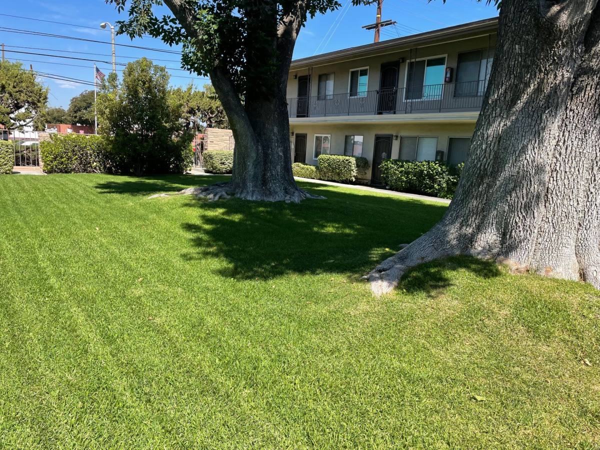 Apartment for rent at 1842 - 1848 W Valencia Dr, Fullerton, CA 92833